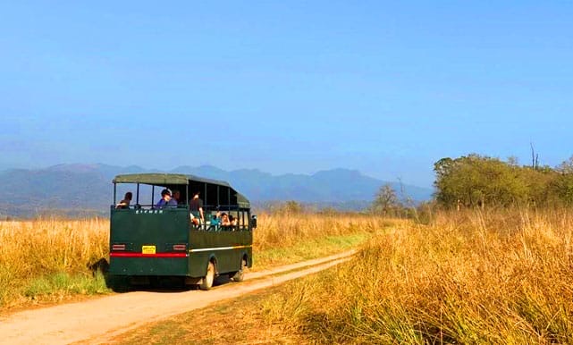Canter Safari