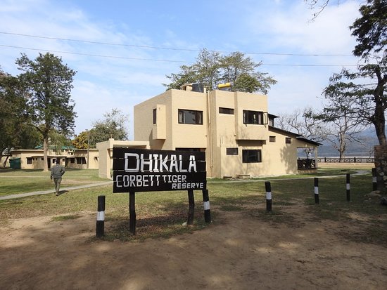 Dhikala Forest Night Stay